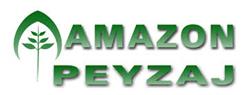 Amazon Peyzaj - Samsun